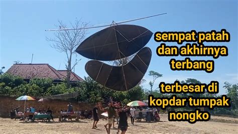 Layangan Gapangan Babon Anggrem Terbesar Di Kopdar Tumpaknongko