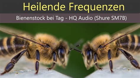 Heilende Frequenzen Bienestock Bienenflug Am Tag Hq Audio Shure