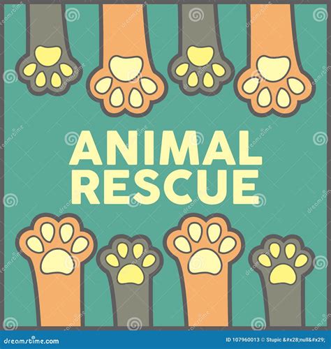 Rescue groups explain how petfinders uses data to save more lives 19