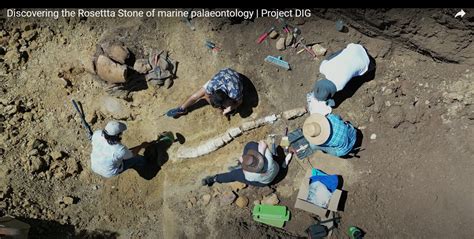 million year  fossil   australia  rosetta stone