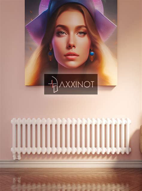 Axxinot Sentir 2037 - двухтрубный трубчатый радиатор высотой 370 мм ...