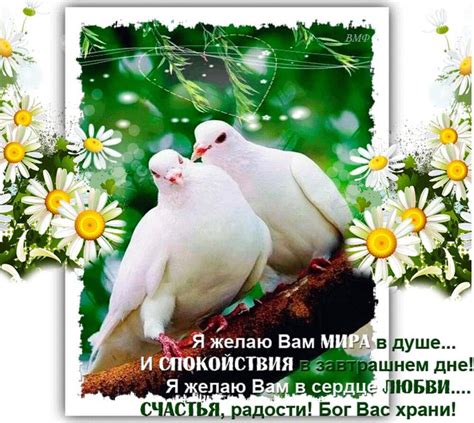 Пожелание мира - фото и картинки на разные темы - snaply.ru