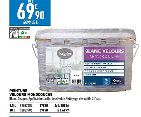 Promo Peinture Velours Monocouche Chez Brico Cash ICatalogue Fr