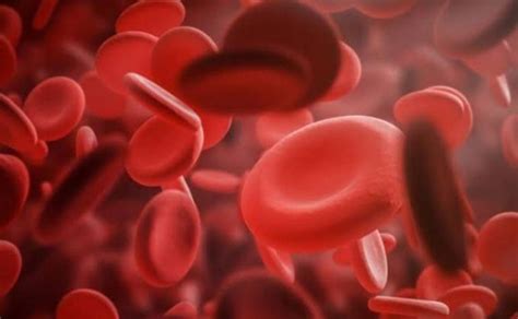 Yuk Kenali Gejala Hemofilia Dan Cara Mengatasinya