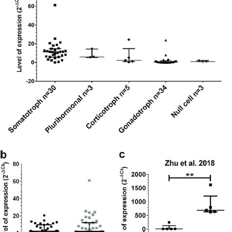 Mir 410 3p Regulates Cell Cycle Mapk Pten Akt And Stat3 Signaling