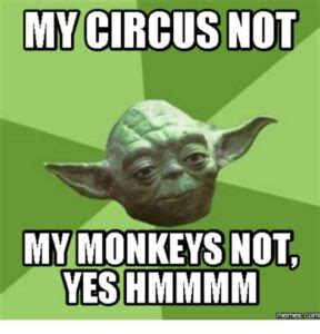 20 Not My Circus Not My Monkeys Meme Examples Trendingnewshq