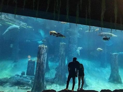 Hot girl Meo Meo công khai bạn trai mới sau một thời gian chia tay chồng thiếu gia