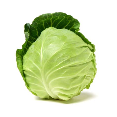 Frischer Kohl stockbild. Bild von hintergrund, getrennt - 134255391