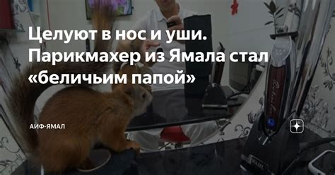 Целуют в нос и уши. Парикмахер из Ямала стал «беличьим папой» | АиФ ...