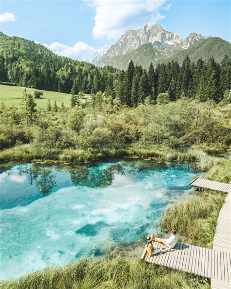 Exploring Zelenci Nature Reserve, Kranjska Gora | Slovenia - KoTravellers