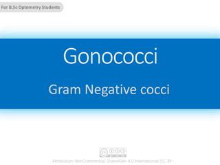 Gonococci | PPT