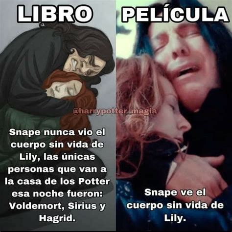 Pin De Fran En Guardado R Pido Frases Para Libros Harry Potter