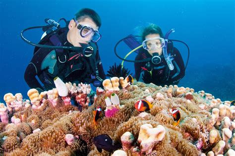 Queensland Individualreisen Gruppenreisen Und Mehr Karawane