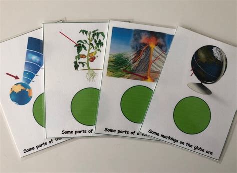 Science Memory Work Cards Cycle 1 DIGITAL DOWNLOAD - Etsy