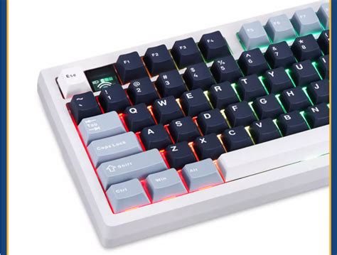 Pre Order Darmoshark TOP98 Side Printed Three Mode Mechanical Keyboard