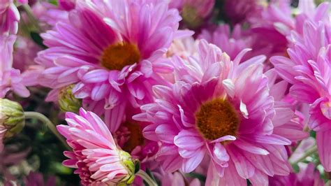 Долька Арбуза - YouTube