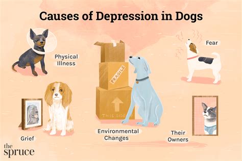 how to tell if my dog is depressed