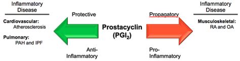 Frontiers Prostacyclin An Inflammatory Paradox