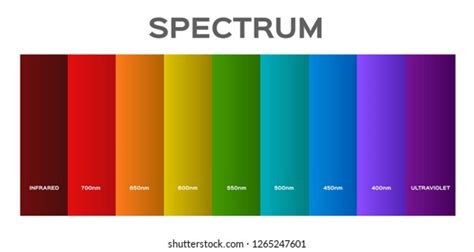 Infographic Visible Spectrum Color Sunlight Color Stock Vector (Royalty Free) 1265247595 ...