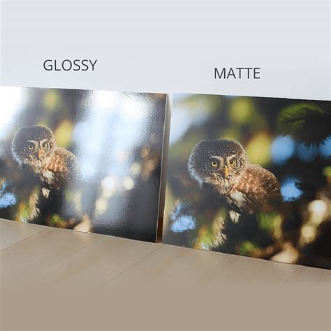 matte  glossy photo