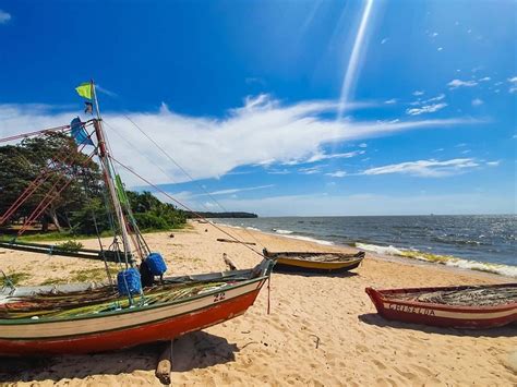 ilha de marajo como ir onde ficar melhores atracoes  fotos lindas
