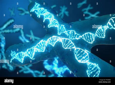 Ilustración 3d Cromosomas X Con Adn Lleva El Código Genético Concepto