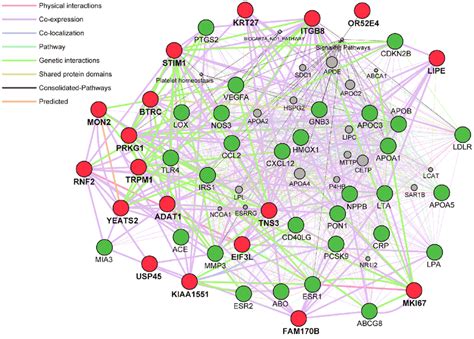 Network Analysis Of The 18 Genes Identified In The Present Study