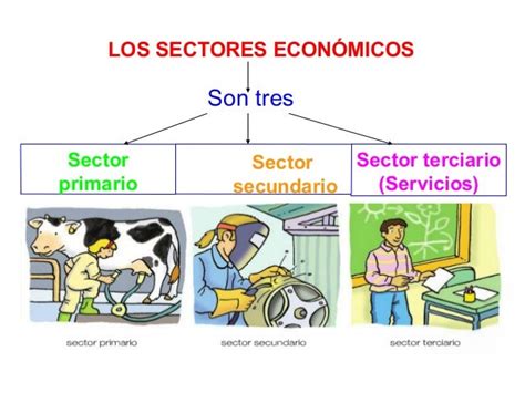 Sectores EconÓmicos Economia