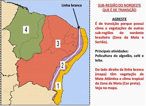 Geografando Slide Ano Nordeste Cap Tulo Unidade