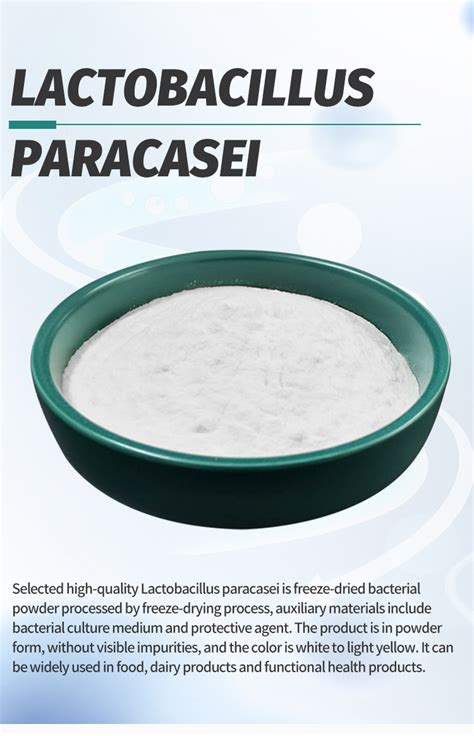 Factory Supply Probiotics Powder Lactobacillus Paracasei Buy