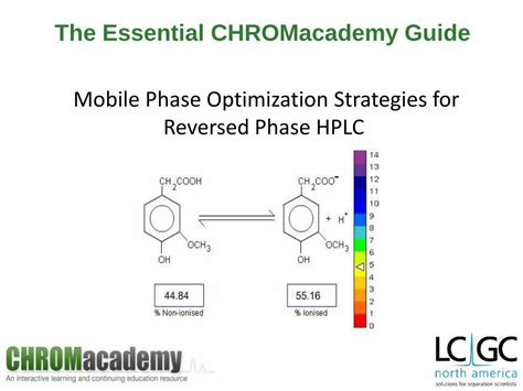 (PDF) Mobile Phase Optimization Strategies for Reversed Phase HPLC - DOKUMEN.TIPS