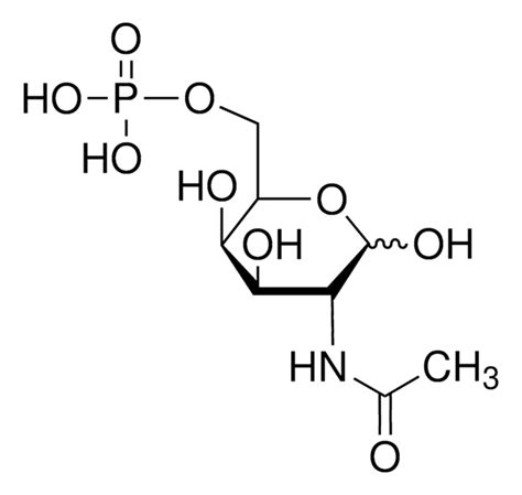 N acetyl d galactosamine | Sigma-Aldrich