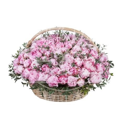 Доставка цветов в Санкт-Петербурге — купить цветы с доставкой