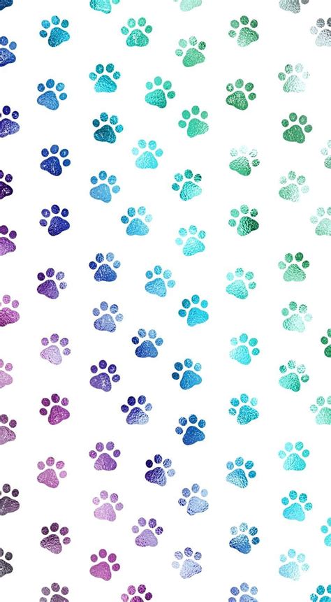 Perro Color Perro Perros Huellas Perritos Fondo De Pantalla De