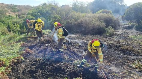 Mis saludos y respetos en el Día del Brigadista Forestal en su DÍA y