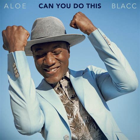 Can You Do This Single By Aloe Blacc Spotify