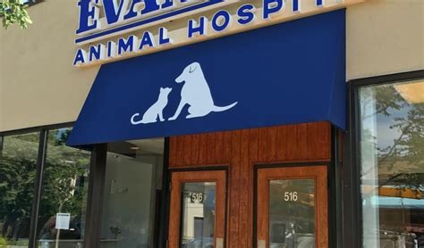 Cloud Based Veterinary Practice Software | IDEXX Veterinary Software