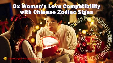 Zodiac Matches for Ox Woman with Other Chinese Zodiac Signs ...