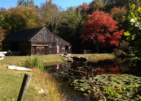 hydroseeding ledyard ct company colonel landscaping