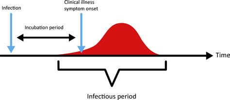 Infection Prevention And Control