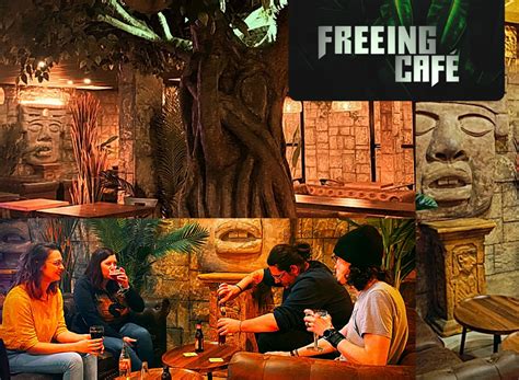 paris freeing le leader inconteste de lescape game en france