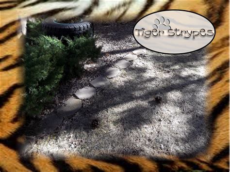 Learn How to Make Pinecone Firestarters #TigerStrypesBlog