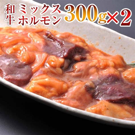 ホルモン ミックス 味付き 300g × 2 パック 合計600g【簡易包装】 Mix H1 特選松阪牛専門店やまと 通販