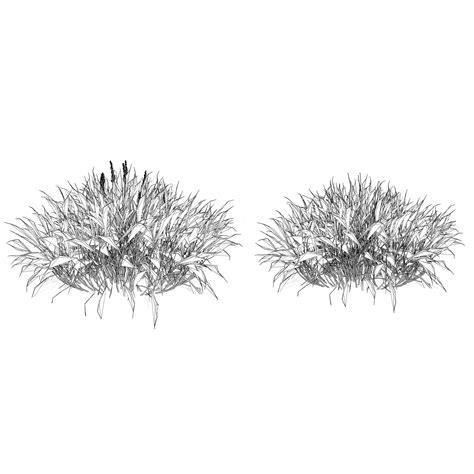 Realistic Grass 3d Model Flippednormals