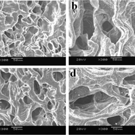 Swelling Characterization Of Hydrogels In Aqueous Medium At Different