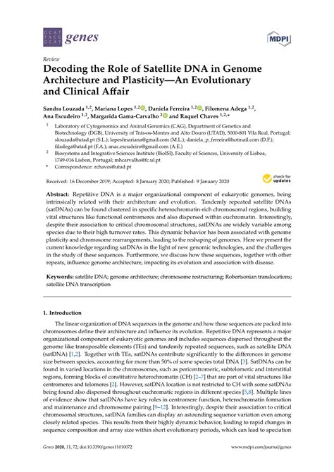 Decoding The Role Of Satellite Dna In Genome Architecture And