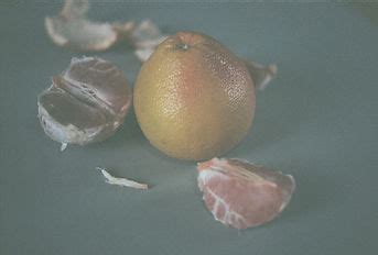 Konsent Proto E Sex Bez Souhlasu Je Znasiln N