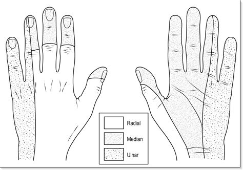 Hand injuries - Clinical Tree