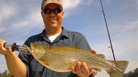 2012 05 0209 57 11597 Lake Lanier Fishing Guide And Lake Burton