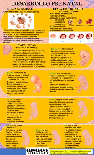 Ecologia Embrionaria Y Fetal AÑO DE LA UNIDAD PAZ Y EL DESARROLLO